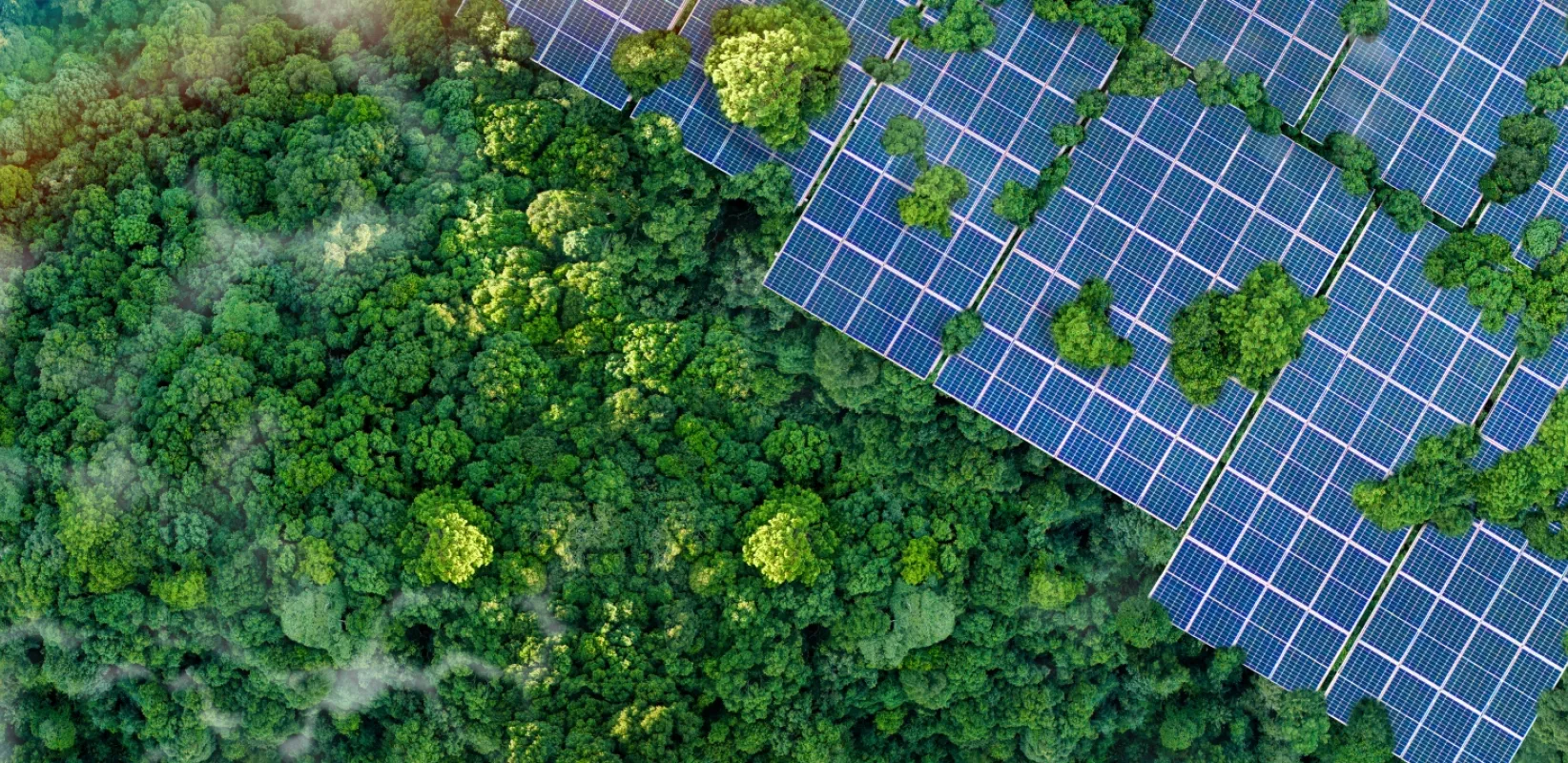 Solar panels